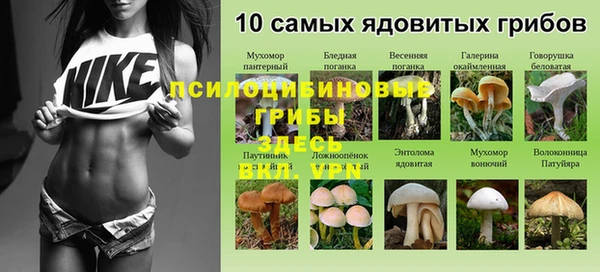 а пвп мука Гусиноозёрск