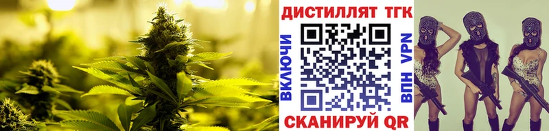 Купить закладки  Фурманов  Дистиллят ТГК жижа 
